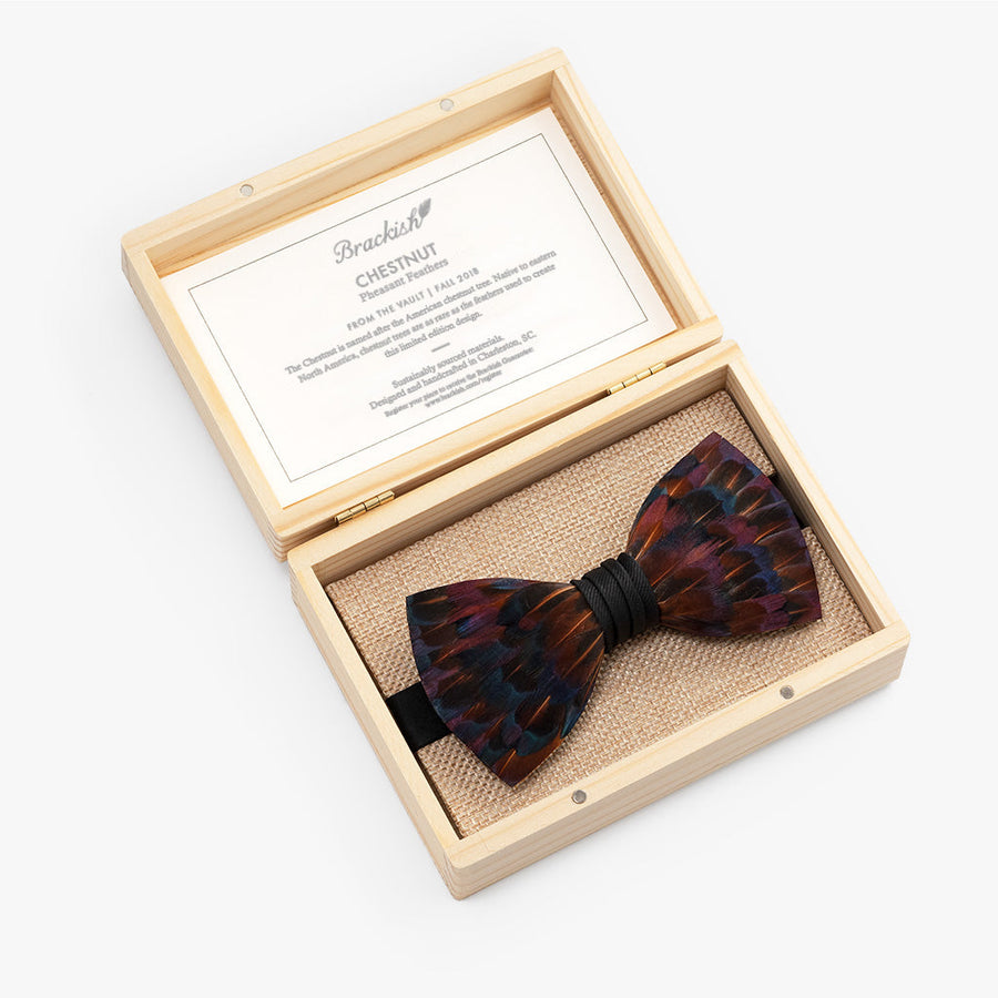 Chestnut Bow Tie