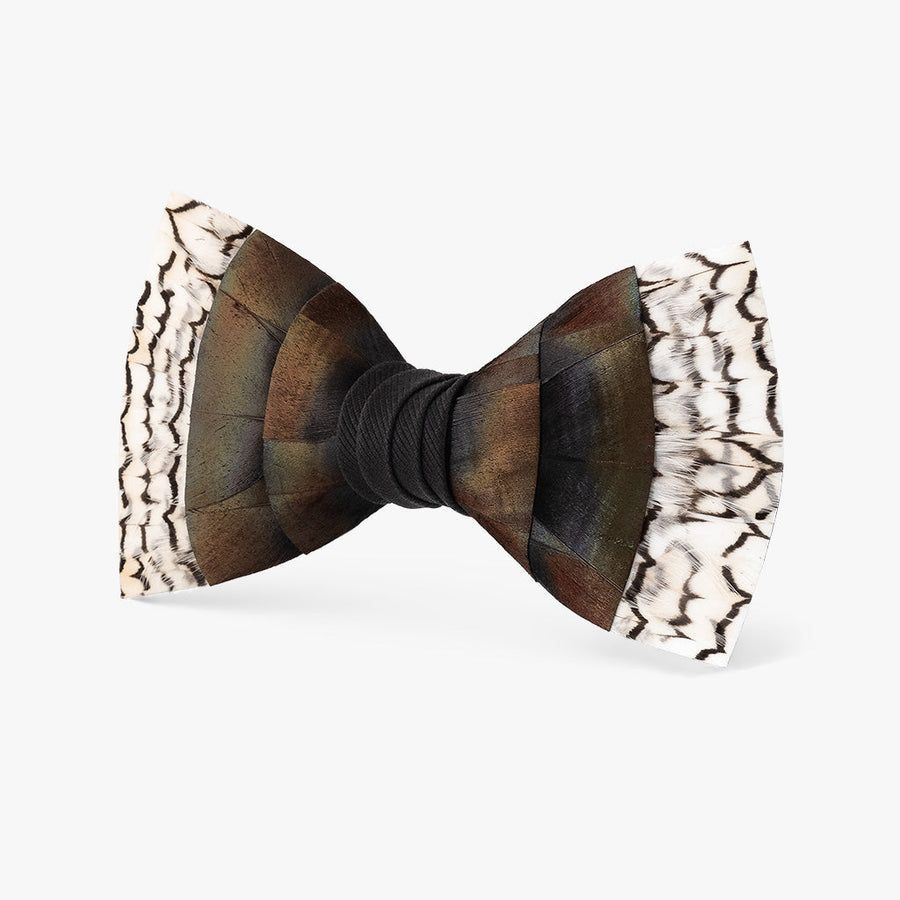 Gaillard Bow Tie