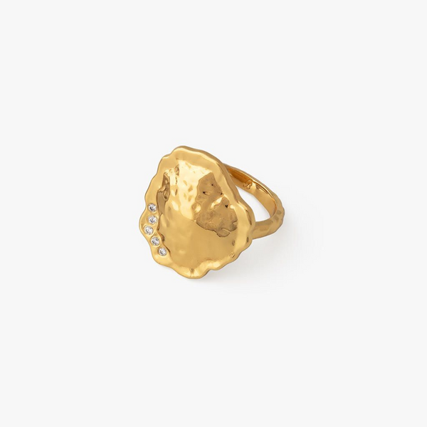 Hampton Park Gold Plated Ring