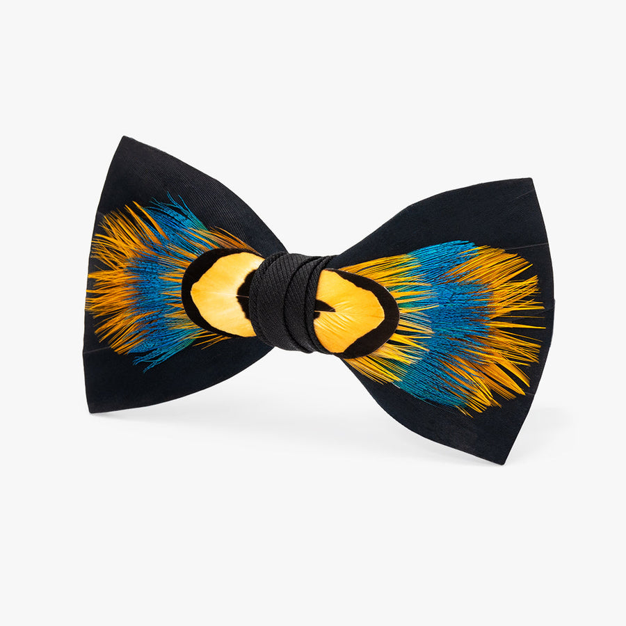 The 1824 Bow Tie