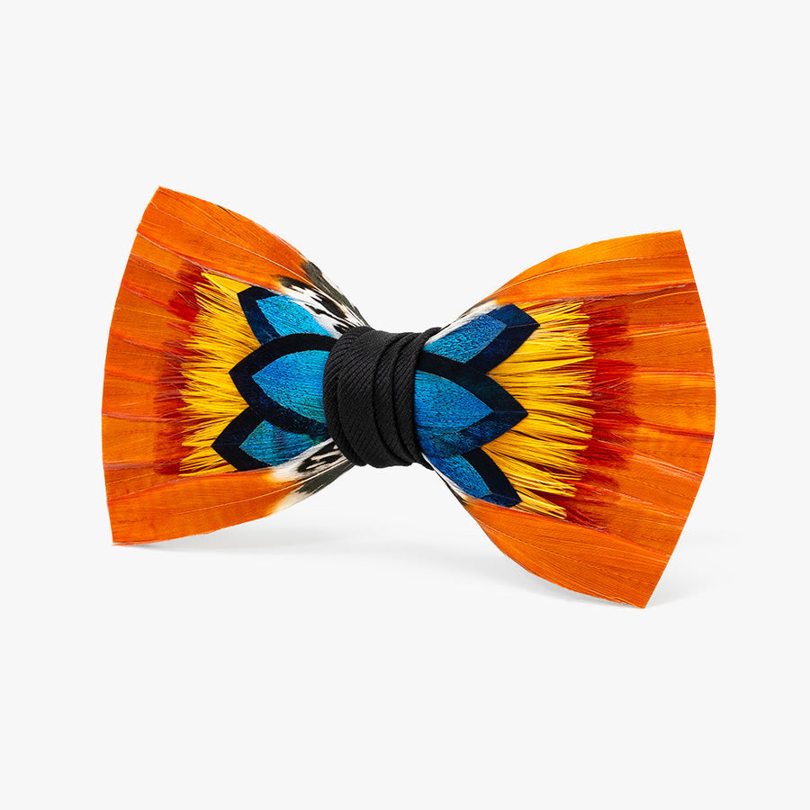 Tucson Bow Tie